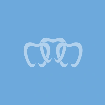 Silhouette of a dental team member